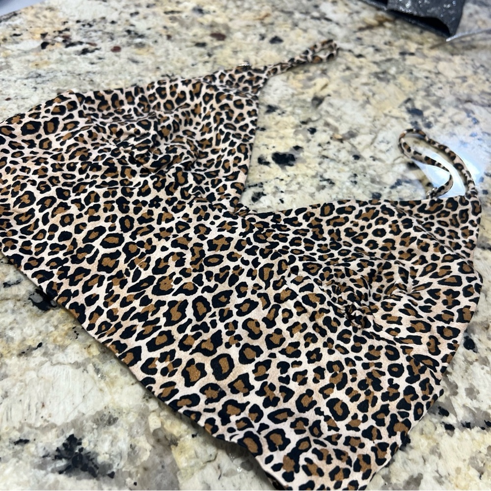 Zara Leopard Print Crop Top